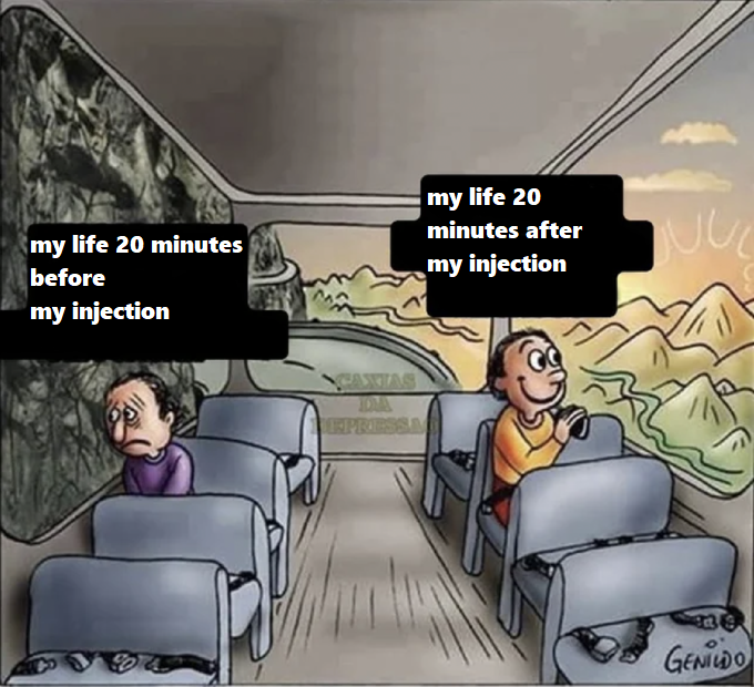 Two guys on bus meme. Sad guy is facing dark mountain with the caption "my life 20 minutes before my injection." Happy guy is facing beautiful valley with the caption "my life 20 minutes after my injection"